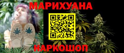 крисы Кулебаки