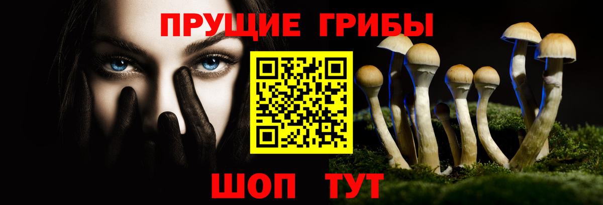 Псилоцибиновые грибы мухоморы  Вход с VPN  Тобольск  Галлюциногенные грибы Magic Shrooms 